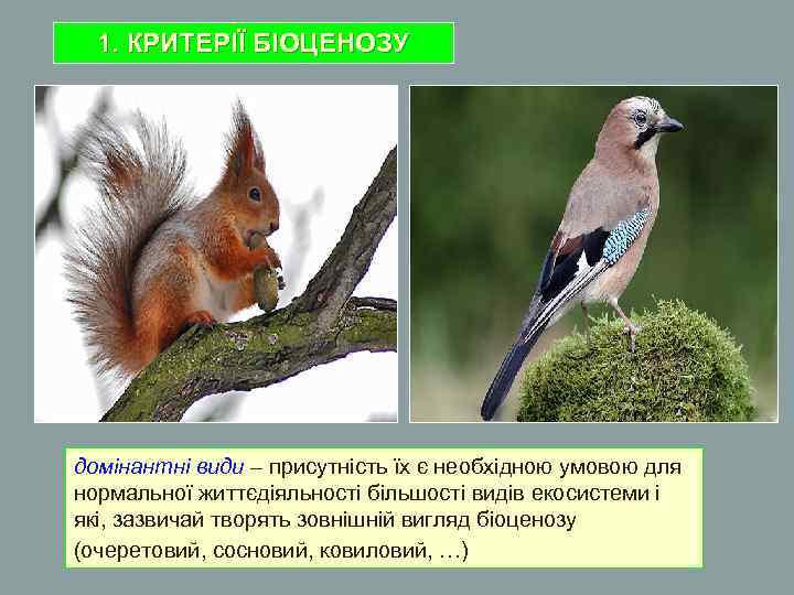 1. КРИТЕРІЇ БІОЦЕНОЗУ домінантні види – присутність їх є необхідною умовою для нормальної життєдіяльності