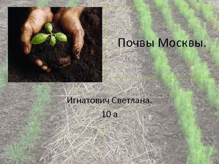 Основные сведения о почвах. Сведения о почвах Москвы. Какая почва в Москве. Основные сведения о почвах Московской области. Почва в Москве для 4 класса.