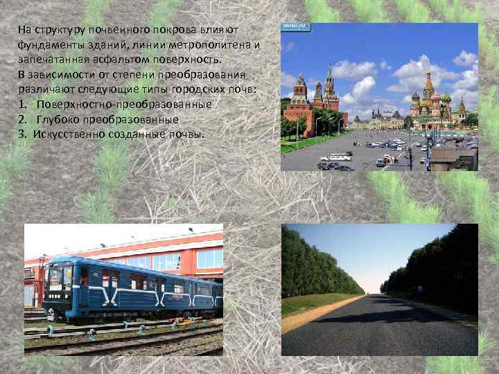 На структуру почвенного покрова влияют фундаменты зданий, линии метрополитена и запечатанная асфальтом поверхность. В