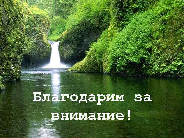 Благодарим за внимание! 