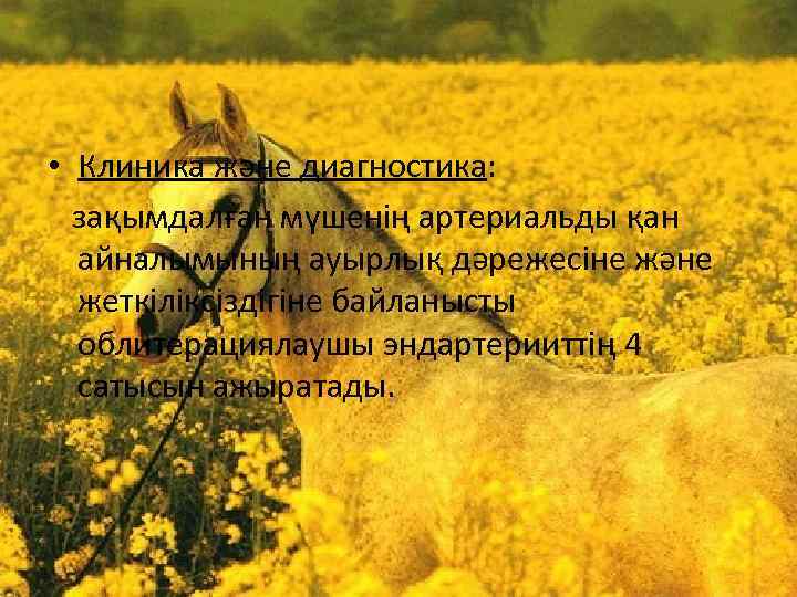  • Клиника және диагностика: зақымдалған мүшенің артериальды қан айналымының ауырлық дәрежесіне және жеткіліксіздігіне