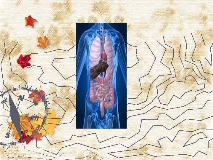 Жұмағалиева Бану Алмасбекқызы Ақтөбе қалалық № 41 жалпы білім беретін орта мектебінің 