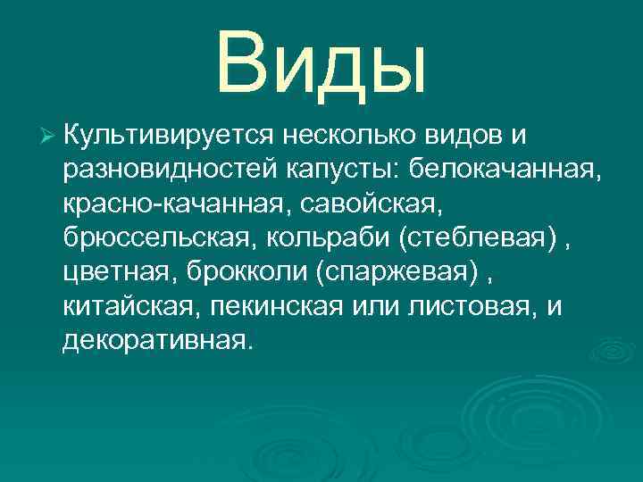 Виды Ø Культивируется несколько видов и разновидностей капусты: белокачанная, красно-качанная, савойская, брюссельская, кольраби (стеблевая)