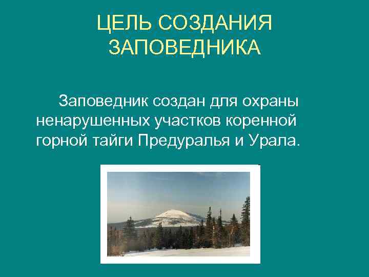 ЦЕЛЬ СОЗДАНИЯ ЗАПОВЕДНИКА Заповедник создан для охраны ненарушенных участков коренной горной тайги Предуралья и