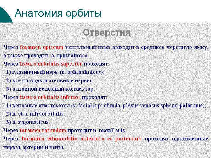 Анатомия орбиты 