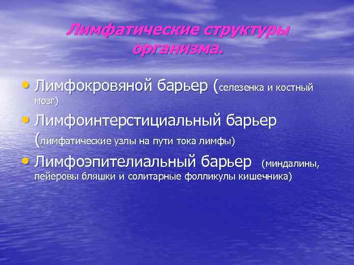 Лимфатические структуры организма. • Лимфокровяной барьер (селезенка и костный мозг) • Лимфоинтерстициальный барьер (лимфатические