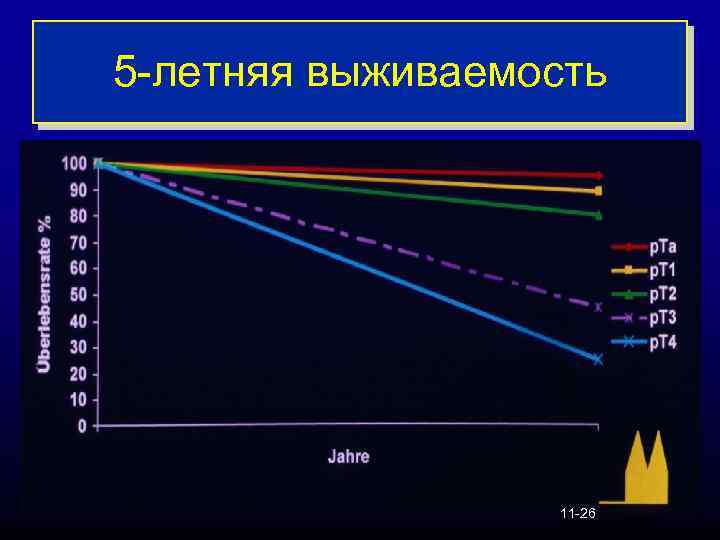 5 -летняя выживаемость 11 -26 