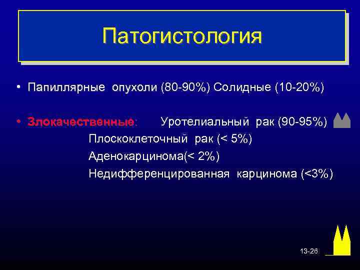 Патогистология • Папиллярные опухоли (80 -90%) Солидные (10 -20%) • Злокачественные: Уротелиальный рак (90