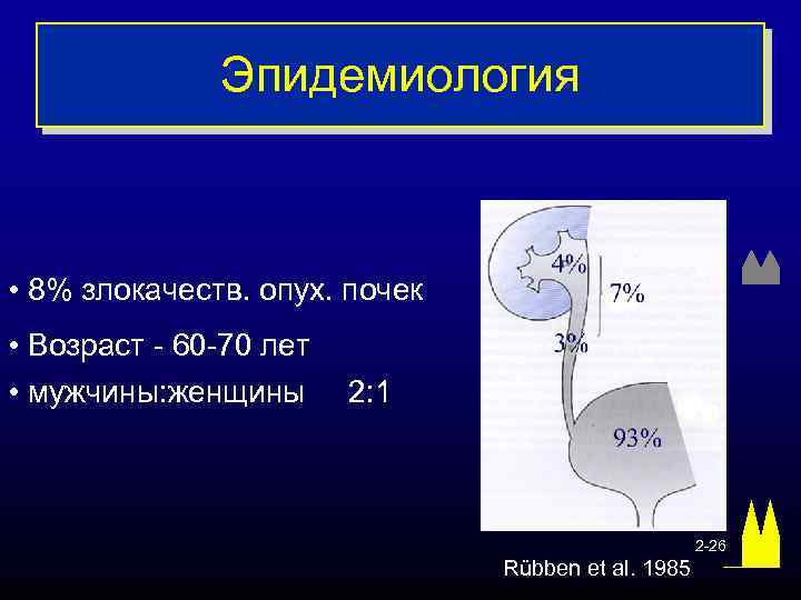 Эпидемиология • 8% злокачеств. опух. почек • Возраст - 60 -70 лет • мужчины: