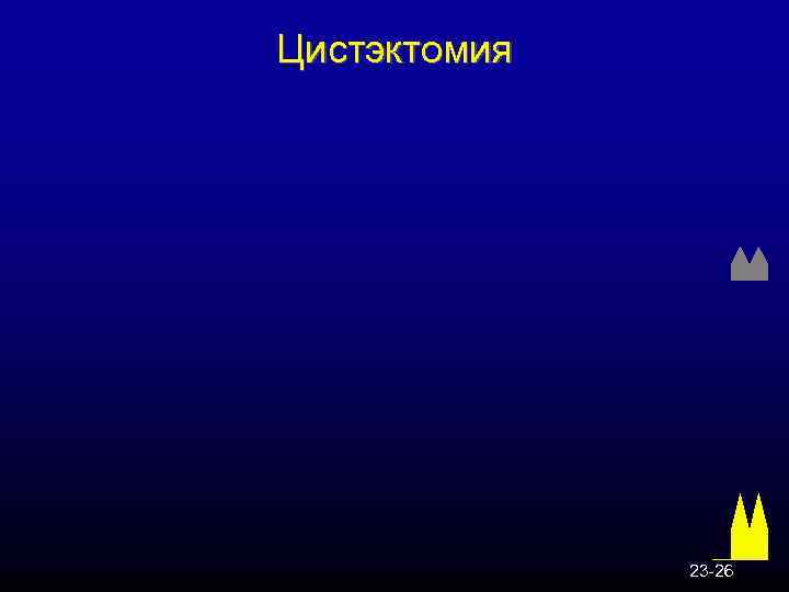 Цистэктомия 23 -26 