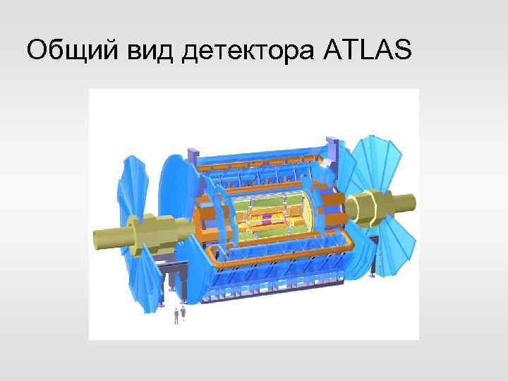 Общий вид детектора ATLAS 