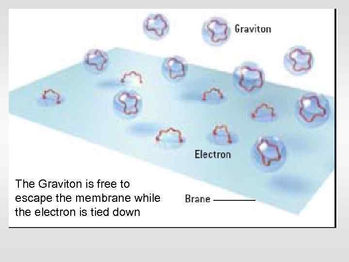 The Graviton is free to escape the membrane while the electron is tied down