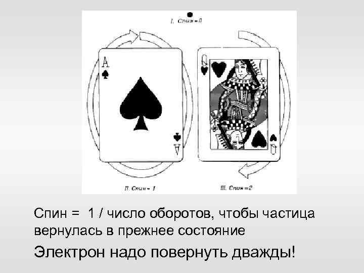Спин = 1 / число оборотов, чтобы частица вернулась в прежнее состояние Электрон надо