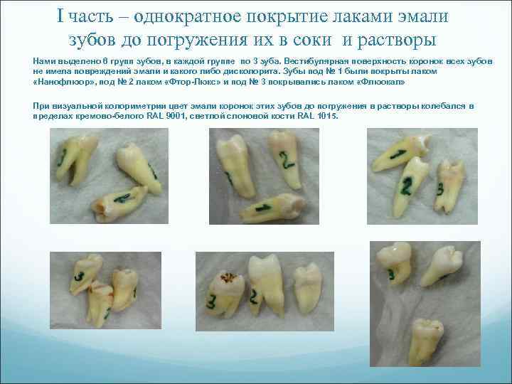 I часть – однократное покрытие лаками эмали зубов до погружения их в соки и