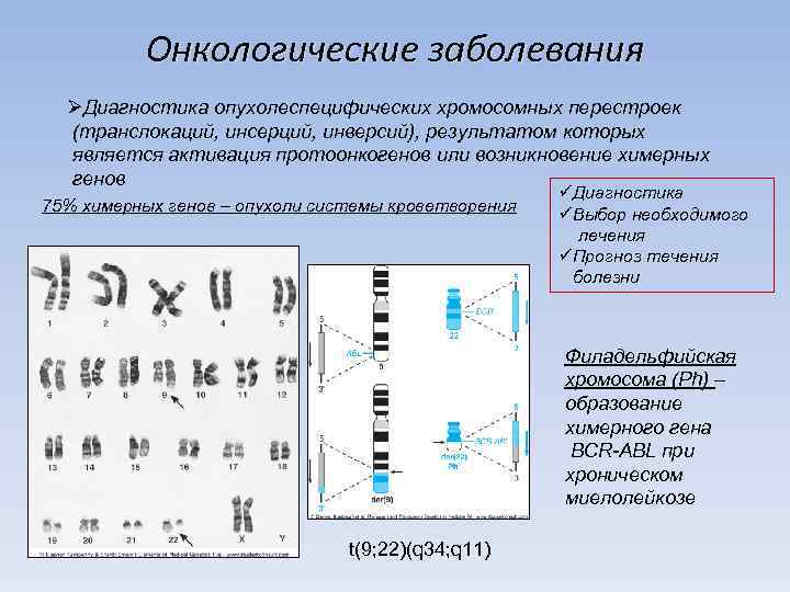 Химерные изображения позволяют в первую очередь исследовать