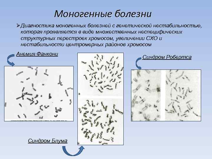 Моногенные болезни ØДиагностика моногенных болезней с генетической нестабильностью, которая проявляется в виде множественных неспецифических