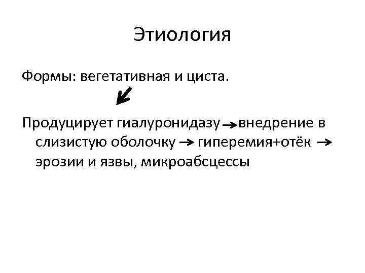 Этиология Формы: вегетативная и циста. Продуцирует гиалуронидазу внедрение в слизистую оболочку гиперемия+отёк эрозии и