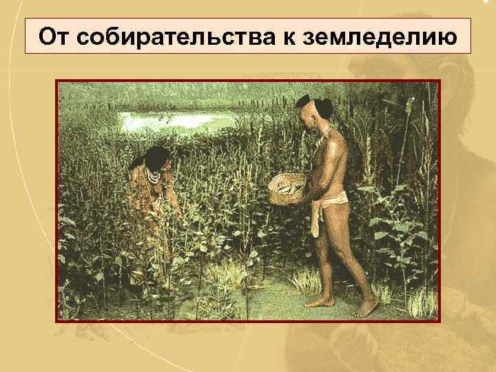 От собирательства к земледелию 