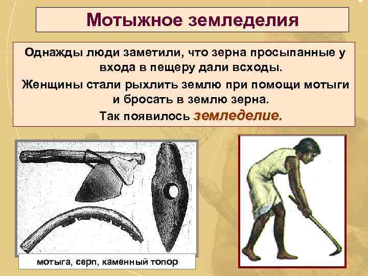 Мотыжное земледелия Однажды люди заметили, что зерна просыпанные у входа в пещеру дали всходы.