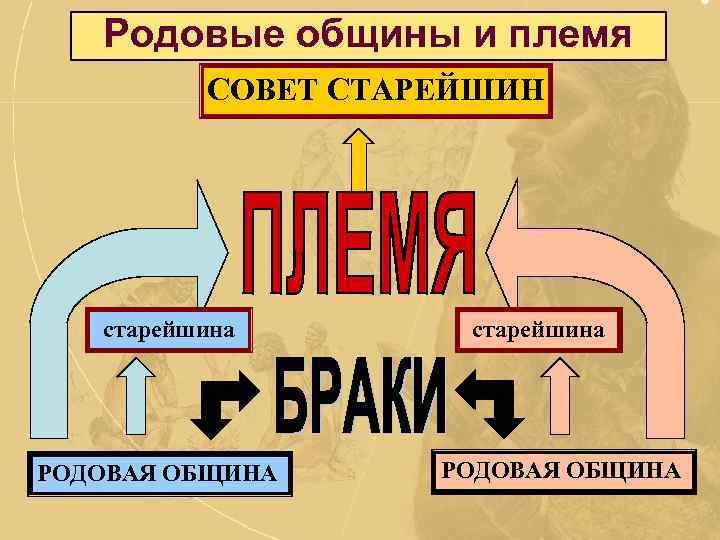 Родовые общины и племя СОВЕТ СТАРЕЙШИН старейшина РОДОВАЯ ОБЩИНА 