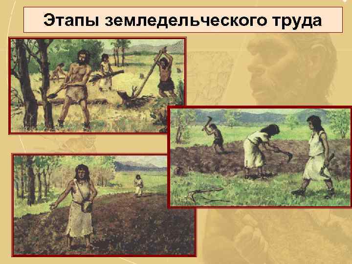 Этапы земледельческого труда 