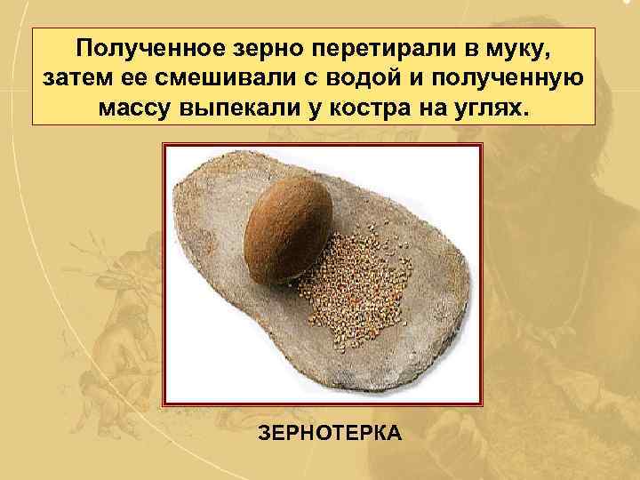 Полученное зерно перетирали в муку, затем ее смешивали с водой и полученную массу выпекали