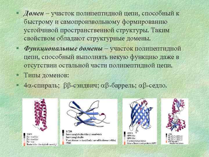 § Домен участок полипептидной цепи, способный к быстрому и самопроизвольному формированию устойчивой пространственной структуры.