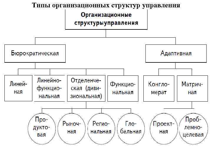 Типы организационных структур управления 