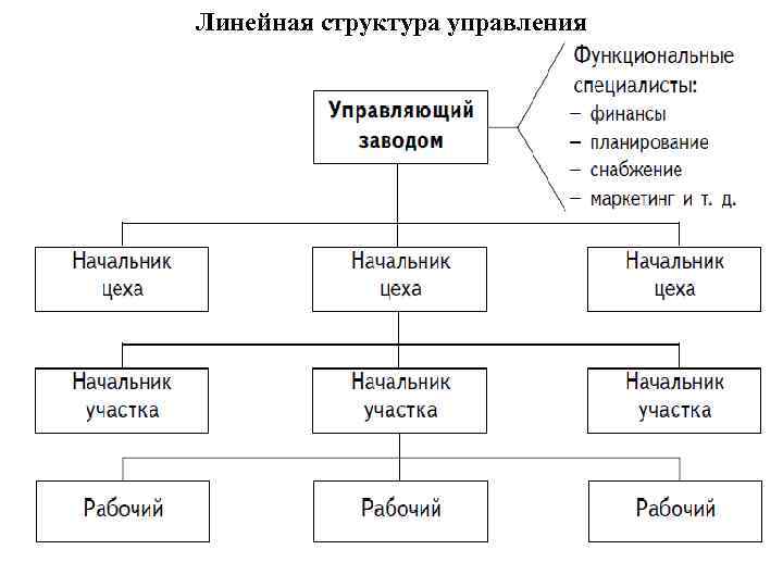 Линейная структура управления 