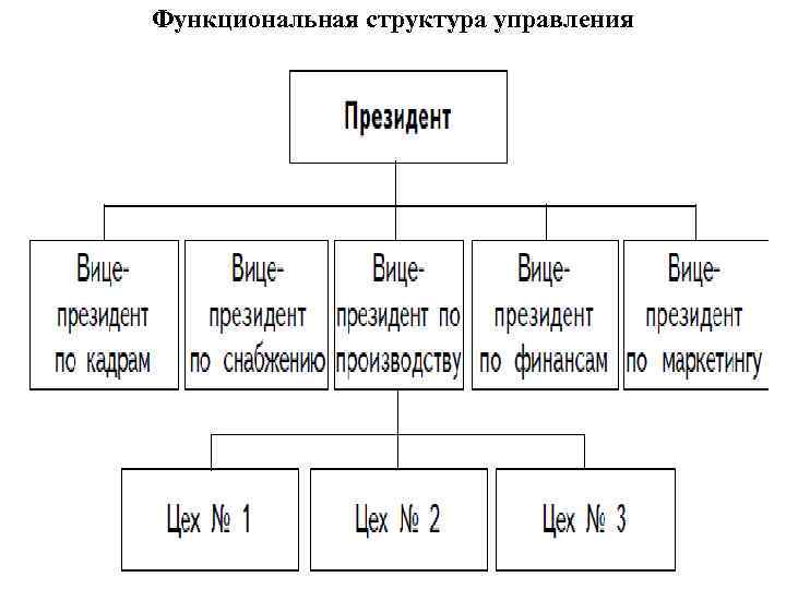 Функциональная структура управления 