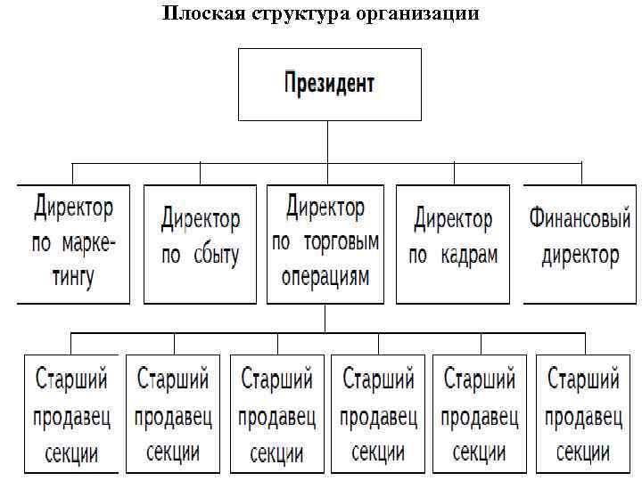 Плоская структура организации 