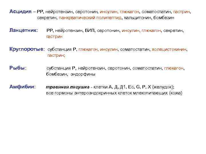 Асцидия – РР, нейротензин, серотонин, инсулин, глюкагон, соматостатин, гастрин, секретин, панкреатический полипептид, кальцитонин, бомбезин