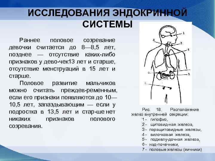 Лабораторные исследования эндокринной системы