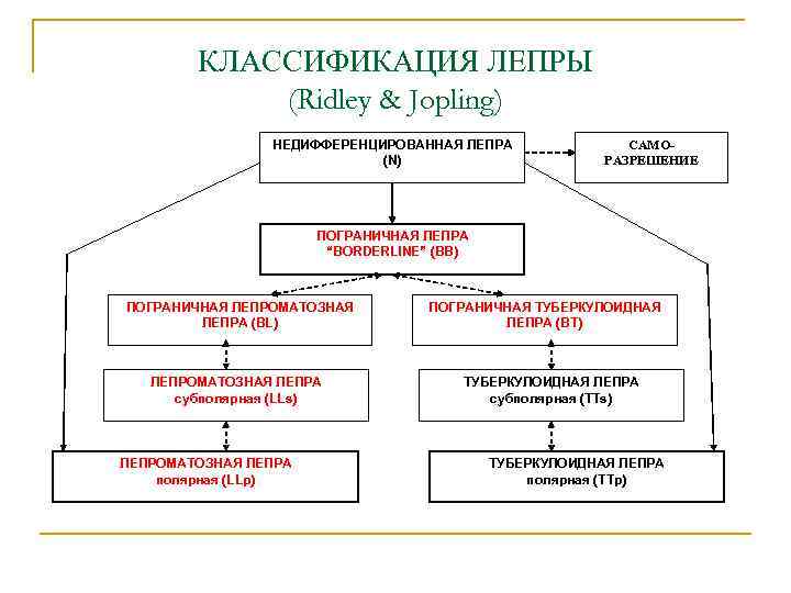 КЛАССИФИКАЦИЯ ЛЕПРЫ (Ridley & Jopling) НЕДИФФЕРЕНЦИРОВАННАЯ ЛЕПРА (N) САМОРАЗРЕШЕНИЕ ПОГРАНИЧНАЯ ЛЕПРА “BORDERLINE” (BB) ПОГРАНИЧНАЯ