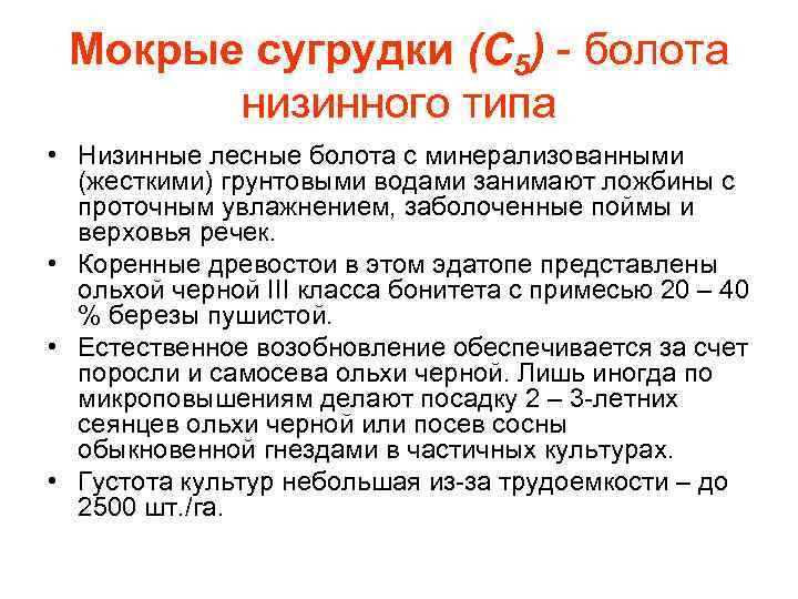 Мокрые сугрудки (С 5) - болота низинного типа • Низинные лесные болота с минерализованными