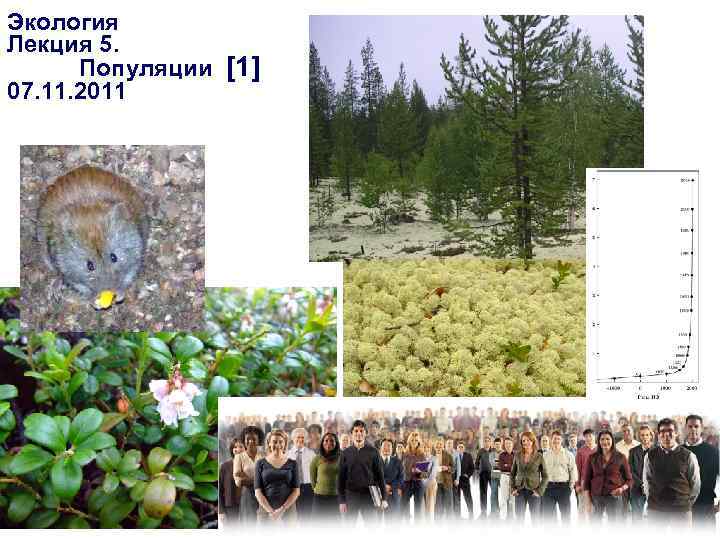 Экология Лекция 5. Популяции [1] 07. 11. 2011 