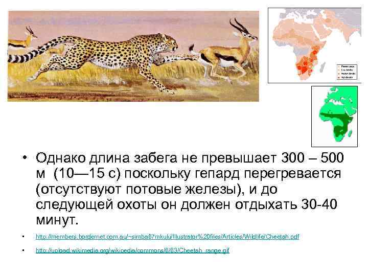  • Однако длина забега не превышает 300 – 500 м (10— 15 с)