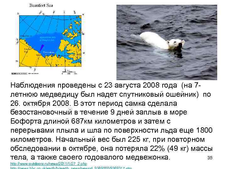 Наблюдения проведены с 23 августа 2008 года (на 7 летнюю медведицу был надет спутниковый