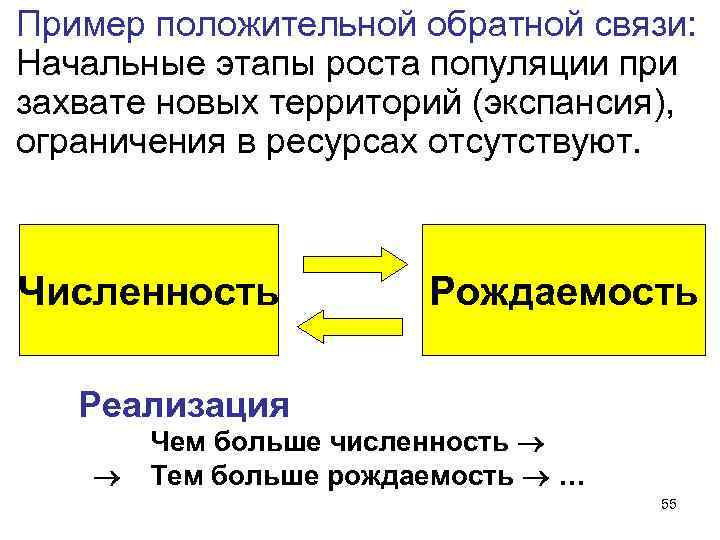 Пример положительной обратной связи: Начальные этапы роста популяции при захвате новых территорий (экспансия), ограничения