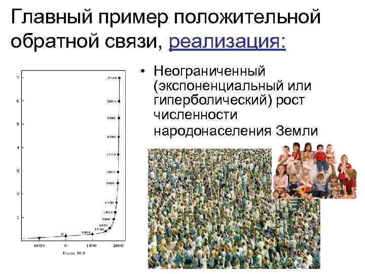 Главный пример положительной обратной связи, реализация: • Неограниченный (экспоненциальный или гиперболический) рост численности народонаселения