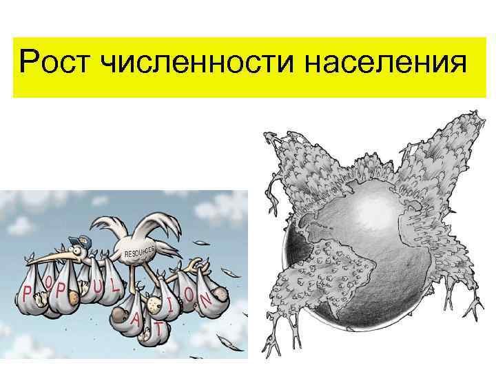 Рост численности населения 