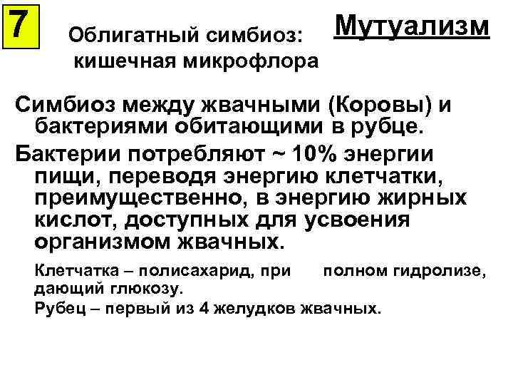 7 Облигатный симбиоз: кишечная микрофлора Мутуализм Симбиоз между жвачными (Коровы) и бактериями обитающими в