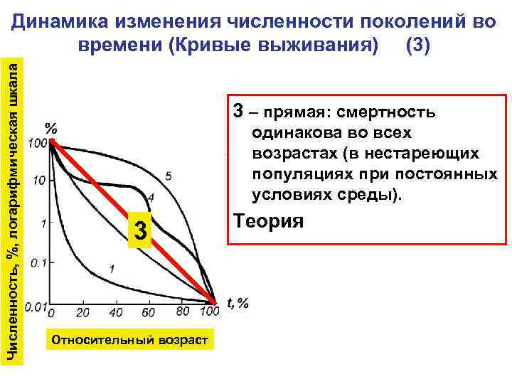 Численность, %, логарифмическая шкала Динамика изменения численности поколений во времени (Кривые выживания) (3) 3
