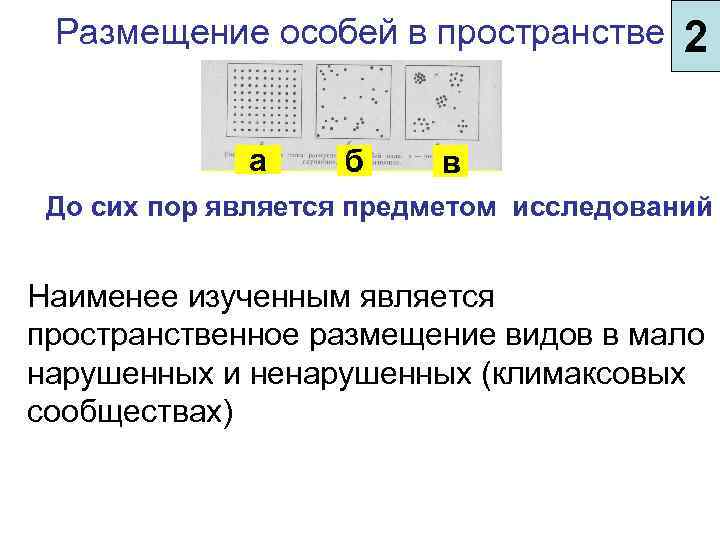 Размещение особей в пространстве а б 2 в До сих пор является предметом исследований