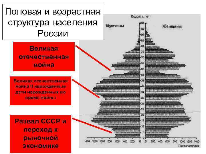 Половая и возрастная структура населения России Великая отечественная война II нерожденные дети нерожденных во