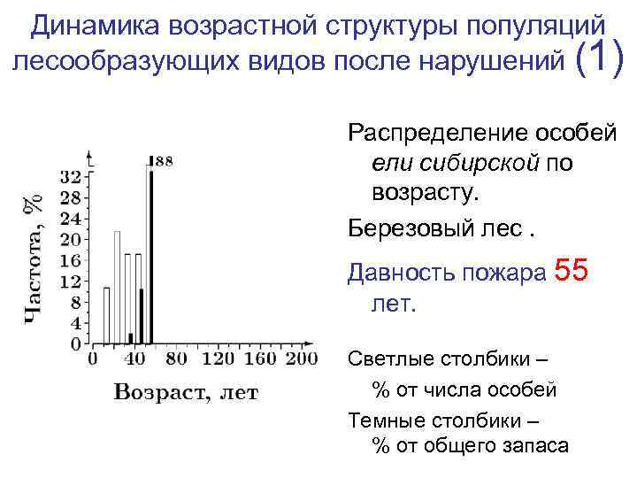 Сибирский возраст. Возрастной спектр популяции растений. Возрастные спектры популяций. Возрастная динамика популяций. Структура и динамика популяций.