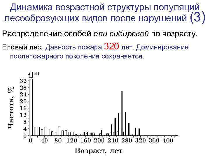 Динамика возрастной структуры популяций лесообразующих видов после нарушений (3) Распределение особей ели сибирской по