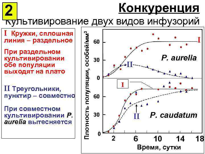 2 конкурирующие. Модель конкуренции двух популяций. Возрастной выживаемости график. Модель конкуренции экология. Конкуренция в экологии.