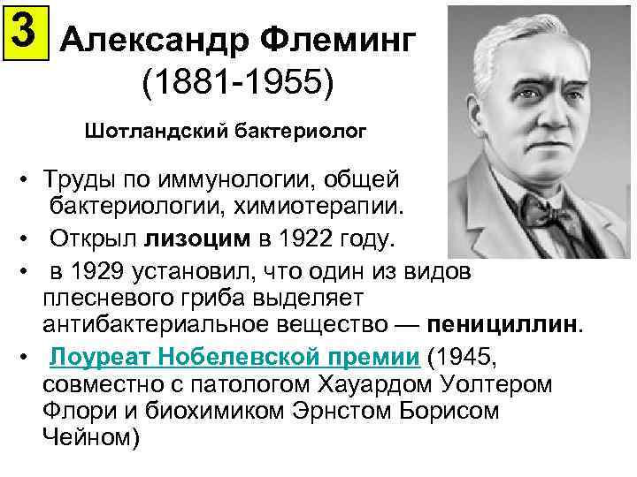 3 Александр Флеминг (1881 -1955) Шотландский бактериолог • Труды по иммунологии, общей бактериологии, химиотерапии.