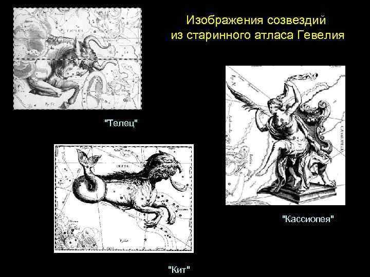 Изображения созвездий из старинного атласа Гевелия "Телец" "Кассиопея" "Кит" 